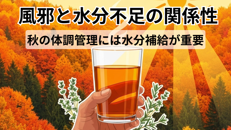 風邪と水分不足の関係性｜秋の体調管理には水分補給が重要